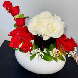 Rose Ligth