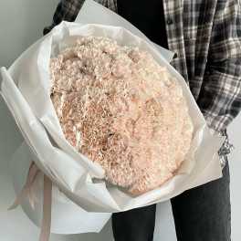 50 beige dianthus