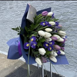 Bouquet of purple and white tulips with iris in blue wrapping
