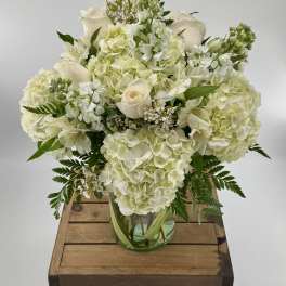 Our Anniversary (DB)