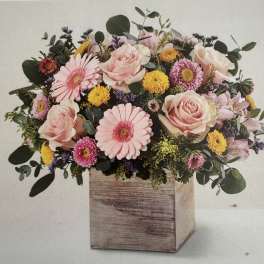 Blooming with Deliight