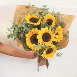 Bouquet of sunflowers wrapped in brown paper
