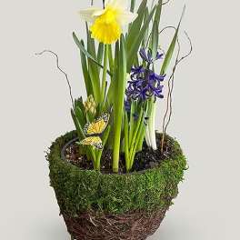 Bulb Garden