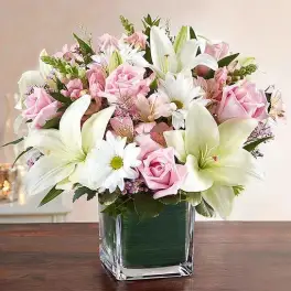 Healing Tears Pink & White
