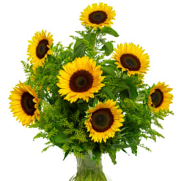 Baby's Snazzy Sunflowers