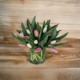 Perfect Pastel Tulips