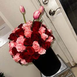 Bucket of Rose