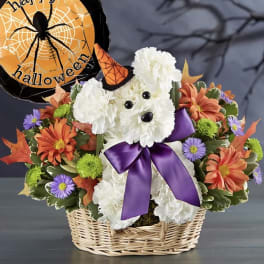 Halloween puppy