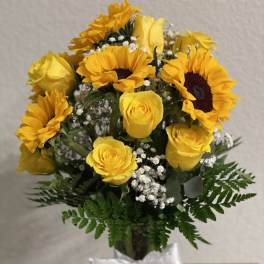 Be my sunshine