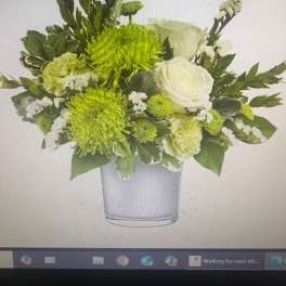 Soft Green Delight