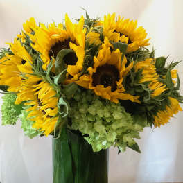 Mostly Sunflowers