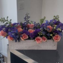 Sunset & Twilight Garden Box