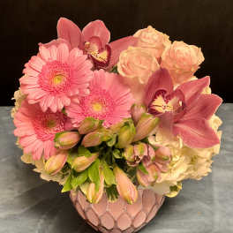 Pink Passion