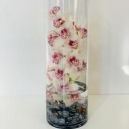Vienna Modern Orchid