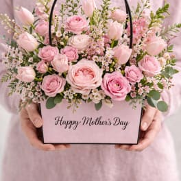 Blush and Bloom
