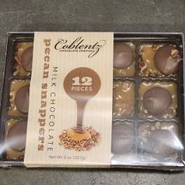 Box of pecan snapper milk chocolates in plastic tray