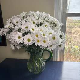 Blooming Pitcher