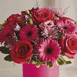A Hot Pink Delight