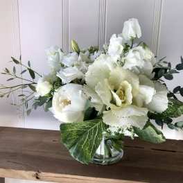WHITE WONDER