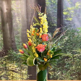Spring Sunrise