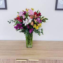 Amazing Alstroemeria