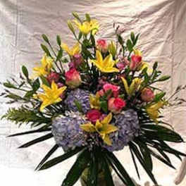 Specially for You