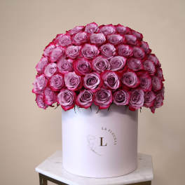 Deep Purple Roses