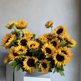 Sunflower Serenade