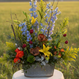 Lost in the Meadows (designers choice)