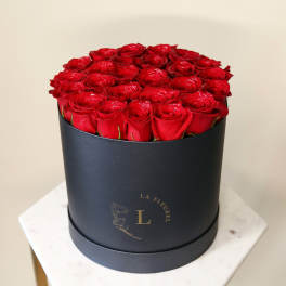 Red Freedom Box