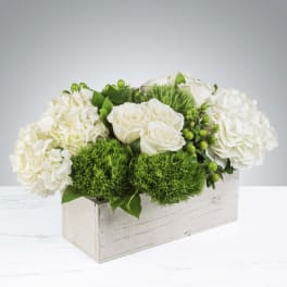 The Hamptons by BloomNation™