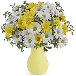Upsy Daisy