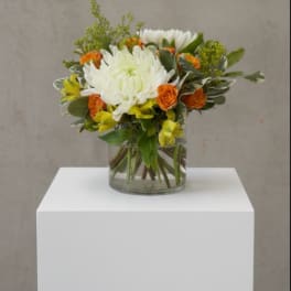 Citrus Linen