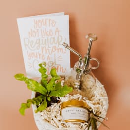 Plant Lovers Gift Box