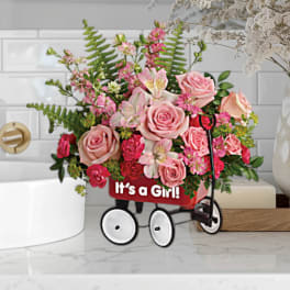 Pink rose arrangement in a red wagon with "It's a Girl!" text