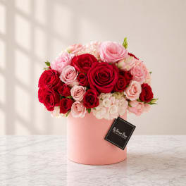 Velvet Blush