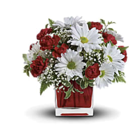 Red carnations and white daisies in a clear square vase