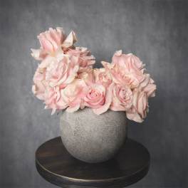 Soft Blush