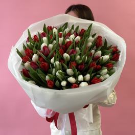 Large bouquet of red and white tulips wrapped in white paper
