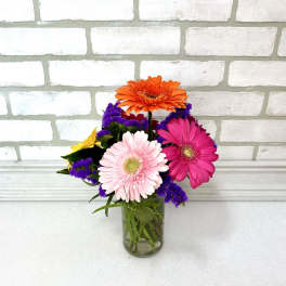 6 Gerbera Daisies