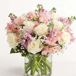 Loving Sentiments Pink & White