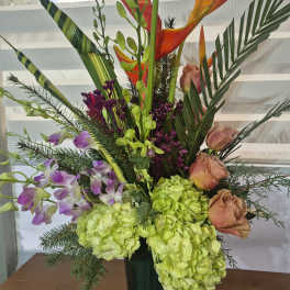 TROPICAL SERENADE