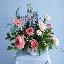 Colors to inspire