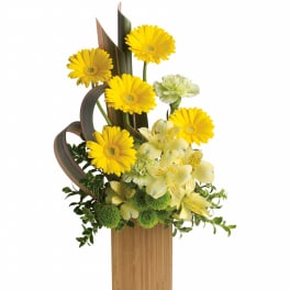 Sunbeams and Smiles by Teleflora