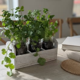 Farmhouse Herb Garden