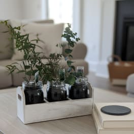 Eucalyptus Farmhouse Garden