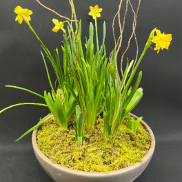 Spring Affair