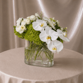 Elegant Orchid & Hydrangea Garden