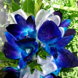 The 'Royal' Corsage