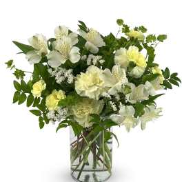 [FRESH FLOWER]Pet Friendly Angel Wings Bouquet